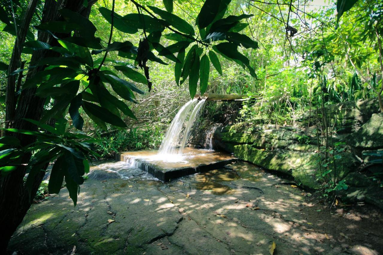 Pousada Estacao Bananeiras Exterior foto